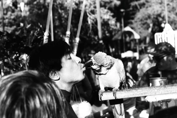 Showman with bird in the streets of Pucón, Chile.